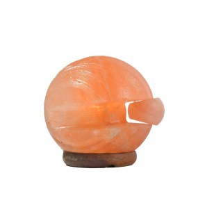 SHELL (2)